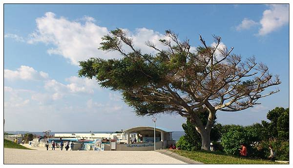 沖繩美麗海水族館