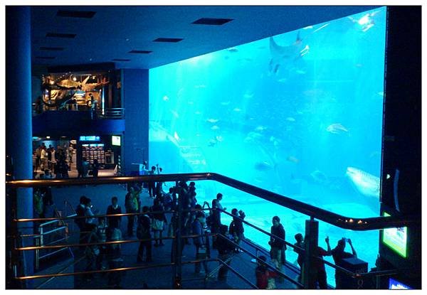 沖繩美麗海水族館