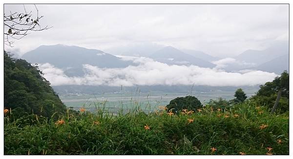 花蓮.六十石山金針花海-104.09.02