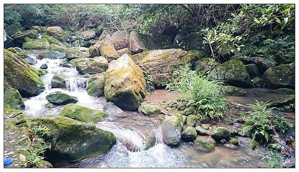 內湖大溝溪步道