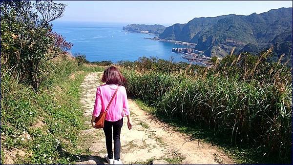 瑞芳.南子杏登山步道