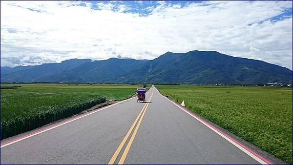 台東-伯朗大道