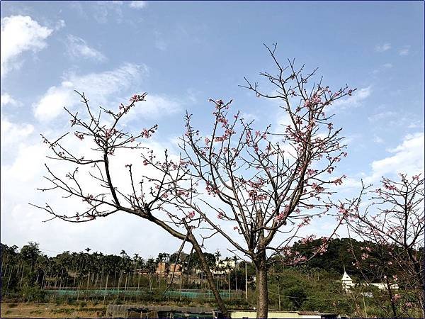 三芝三生步道