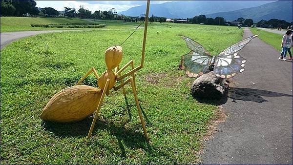 花蓮大農大富平地森林園區
