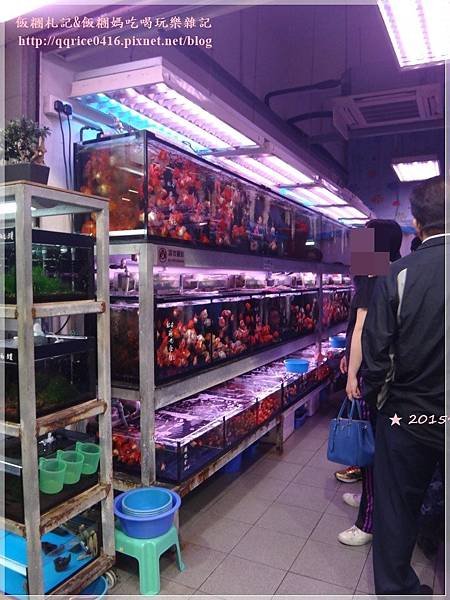 DSC01090