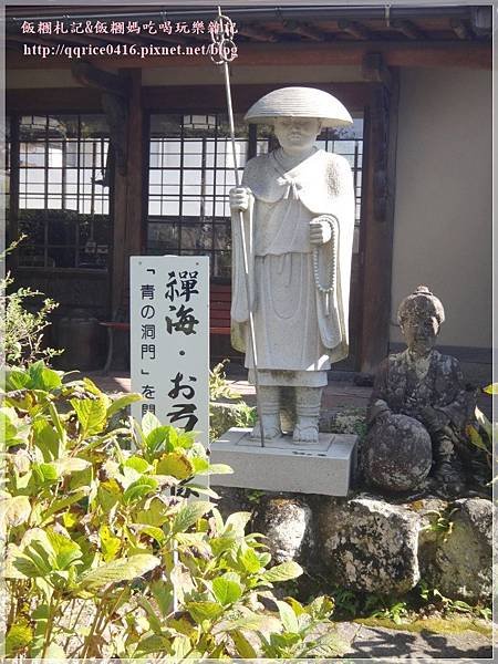 DSC00560