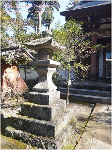 DSC00580