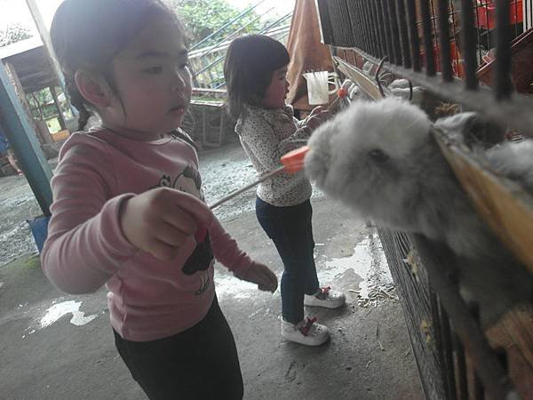 SAM_2783