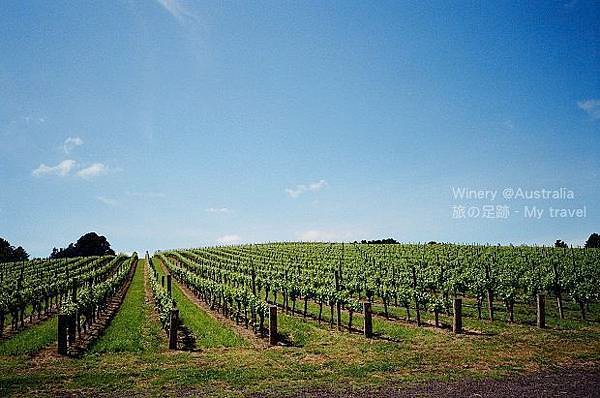 Kodak ColorPlus 200(40)-Adelaide40