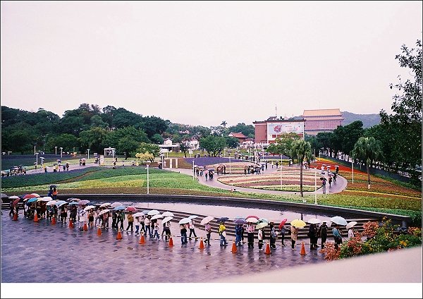 花01.jpg