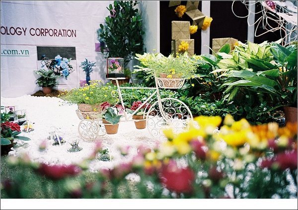 花02.jpg