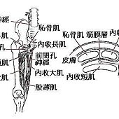 足球1