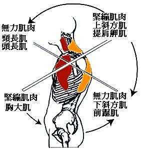 羽球選手