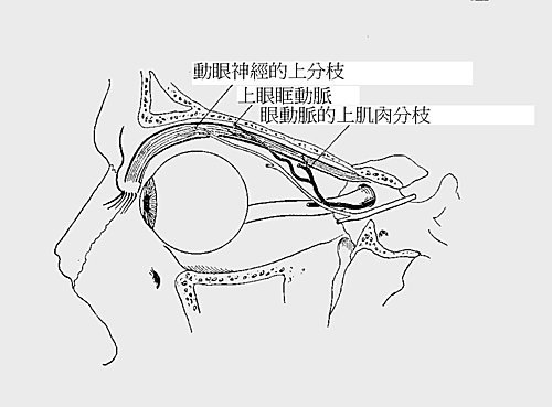 頭好痛