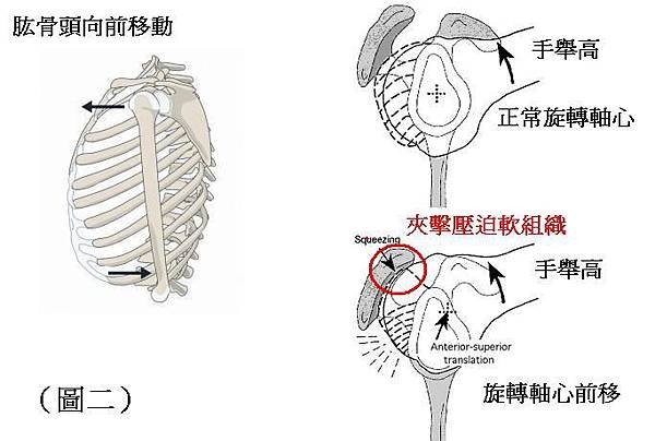 humeral head anterior glide