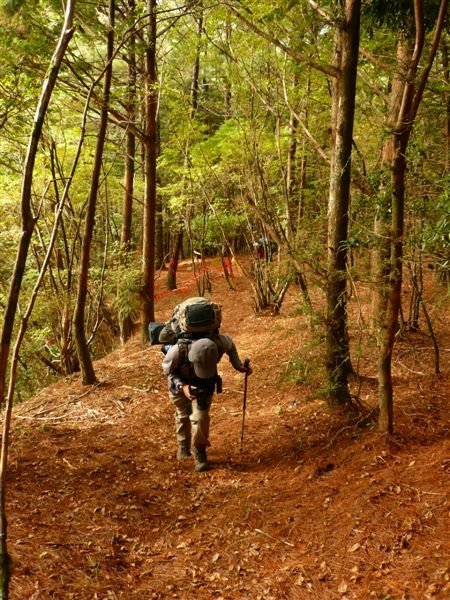 連綿的陡上讓人不得不向屏風山低頭