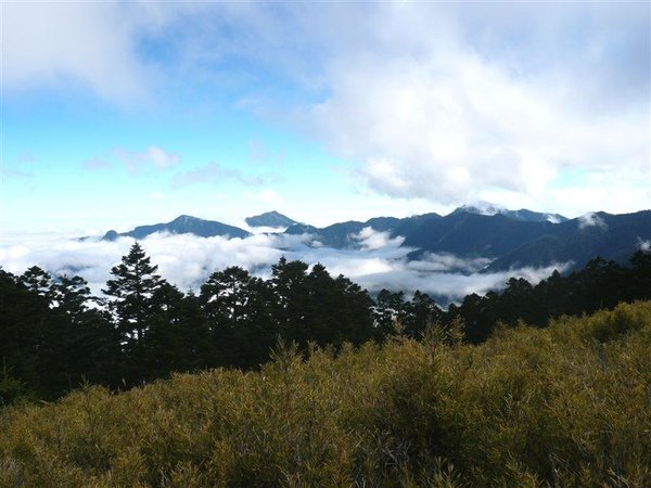 雲海上的蠻荒