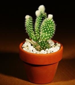 20120726134703259.jpg