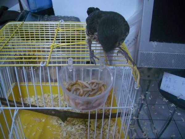 0713阿熱.JPG