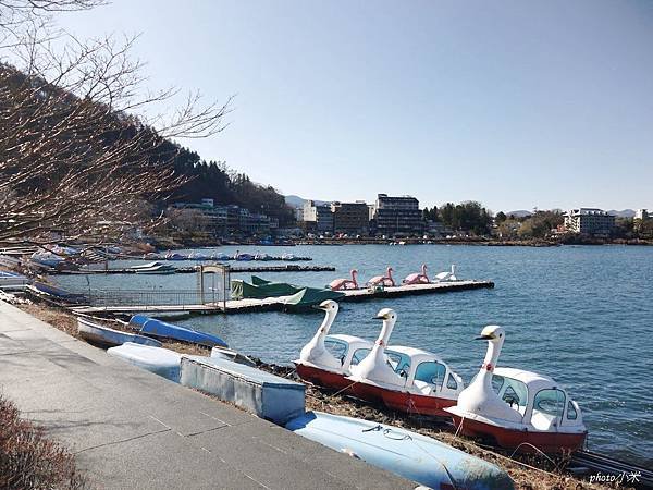 P1330049_調整大小1.JPG