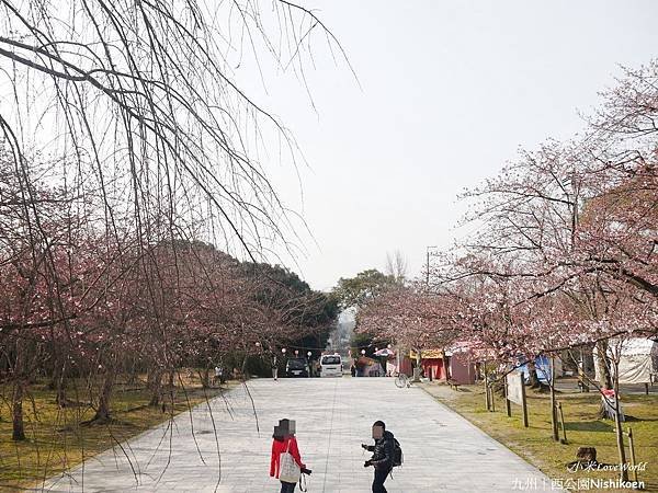 日本九州西公園NishikoenP1500976_調整大小1.JPG