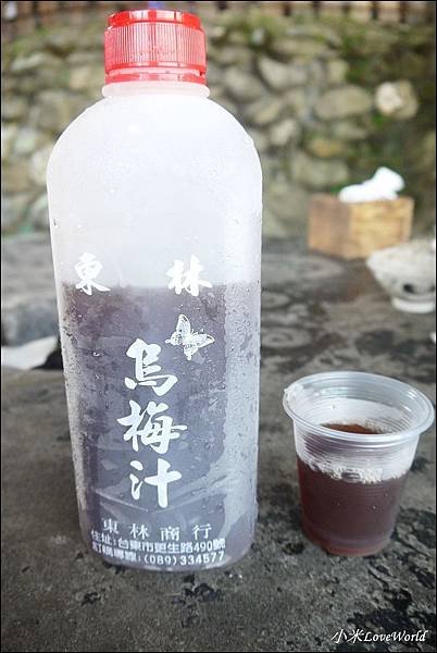 P1790571_調整大小1.JPG