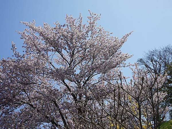 P1230808