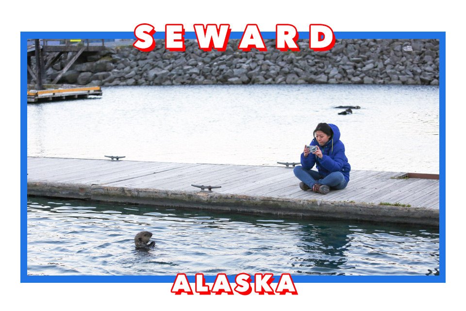 阿拉斯加Seward住宿 Seward Front Row Bed and Breakfast/海獺領地看野生海獺/Alaska Sealife Center