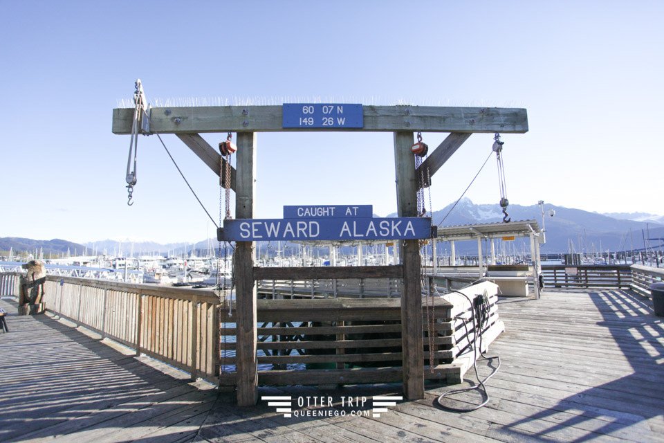 阿拉斯加Seward住宿 Seward Front Row Bed and Breakfast/海獺領地看野生海獺/Alaska Sealife Center