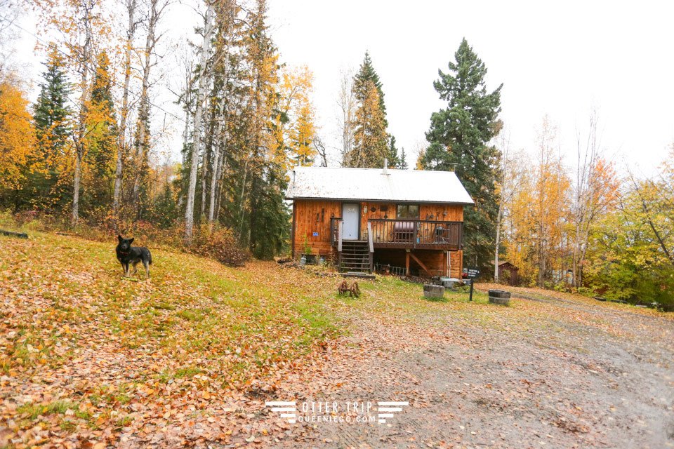 阿拉斯加Fairbanks極光小屋 A Taste of Alaska Lodge 我最愛住宿在Alaska