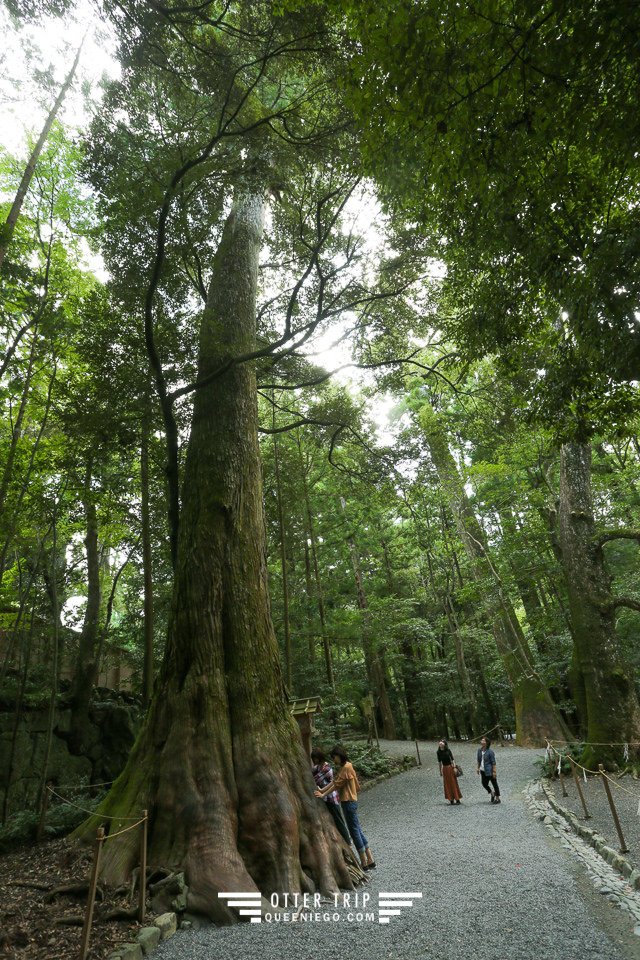 日本三重 日本必去景點-伊勢神宮,日本三大神宮,日本能量景點改運去～