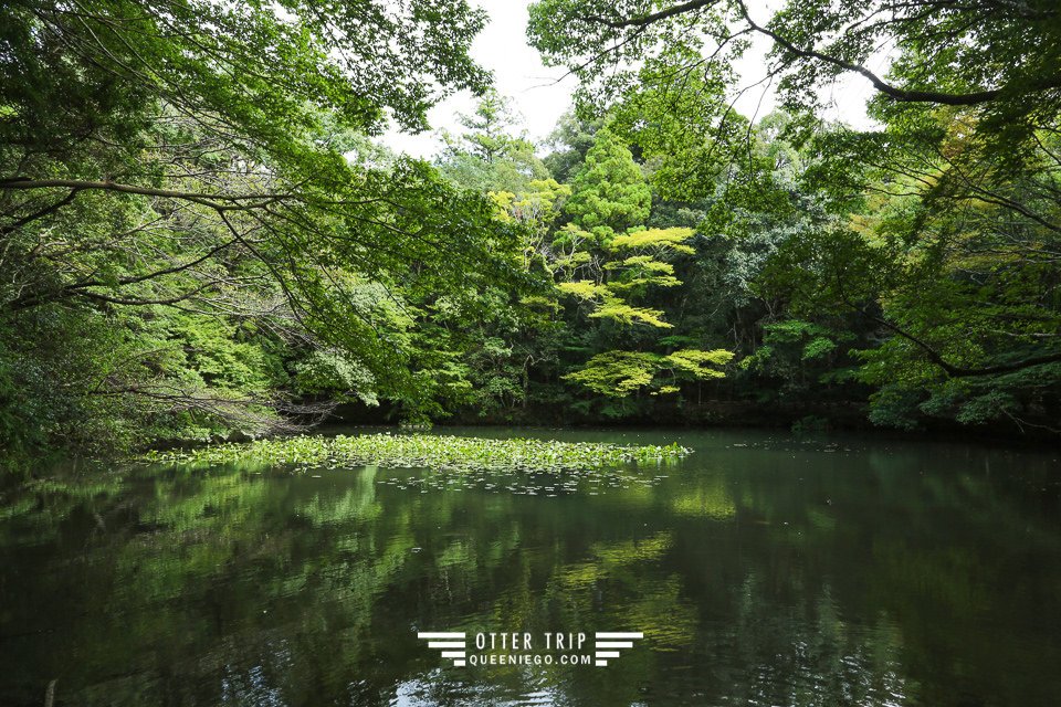 日本三重 日本必去景點-伊勢神宮,日本三大神宮,日本能量景點改運去～