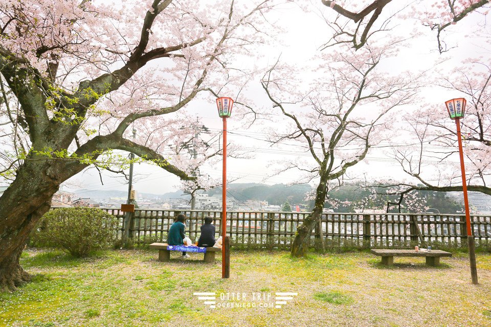能登半島 七尾賞櫻景點-小丸山城址公園 這裡不用人擠人看櫻花