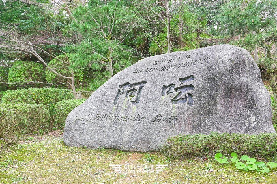 能登半島 七尾賞櫻景點-小丸山城址公園 這裡不用人擠人看櫻花