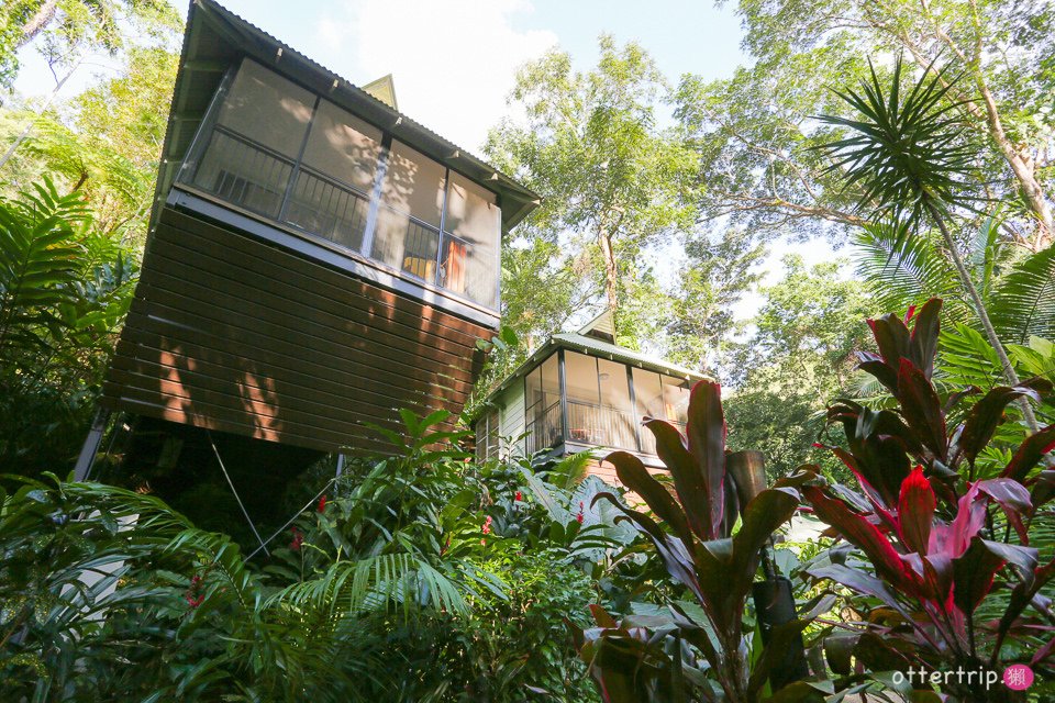 澳洲Daintree住宿推薦 Daintree Eco Lodge 擁有熱帶雨林和潟湖的生態旅館