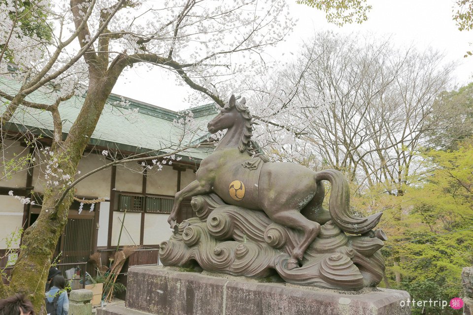 日本犬山賞櫻名所  犬山城，有樂苑裡的國寶茶室-如庵