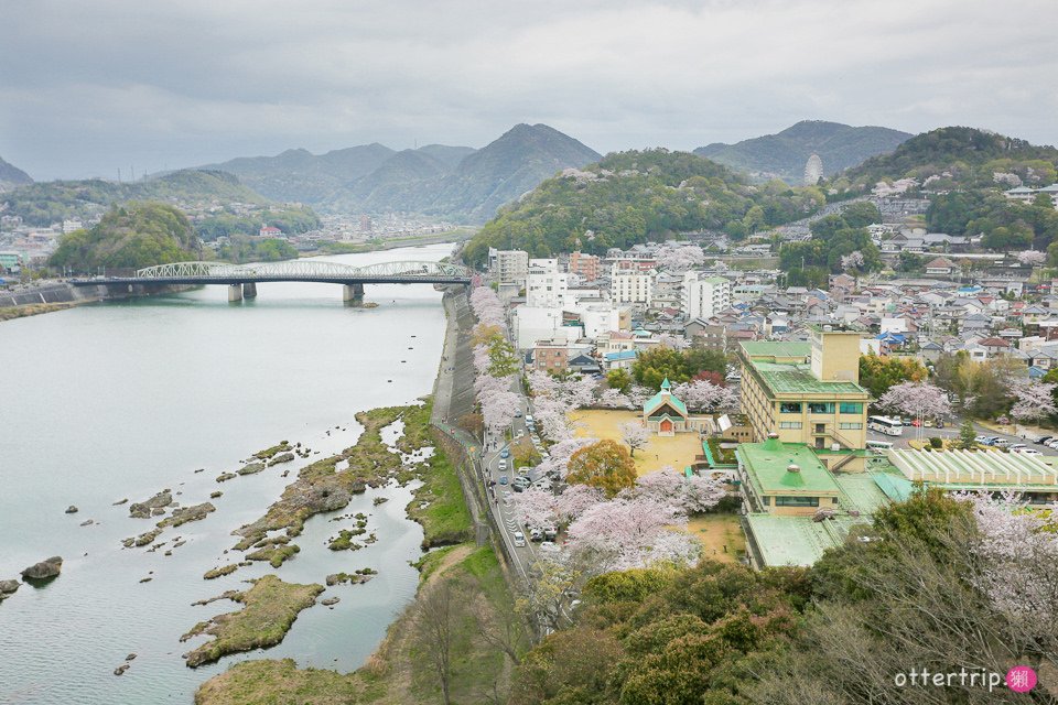 日本犬山賞櫻名所  犬山城，有樂苑裡的國寶茶室-如庵