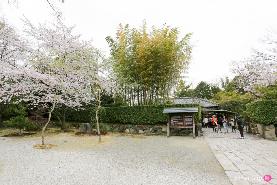 日本犬山賞櫻名所  犬山城，有樂苑裡的國寶茶室-如庵