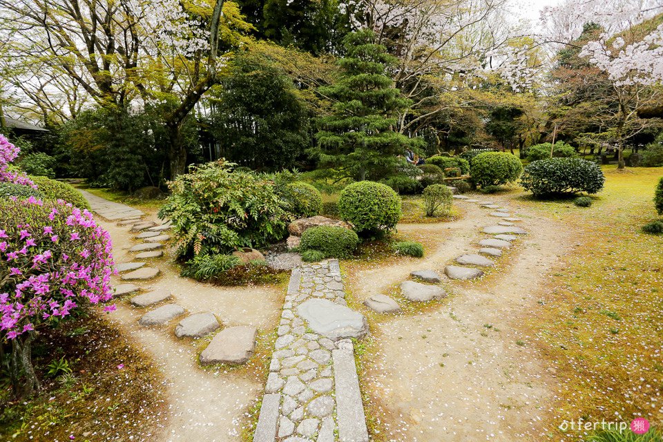 日本犬山賞櫻名所  犬山城，有樂苑裡的國寶茶室-如庵