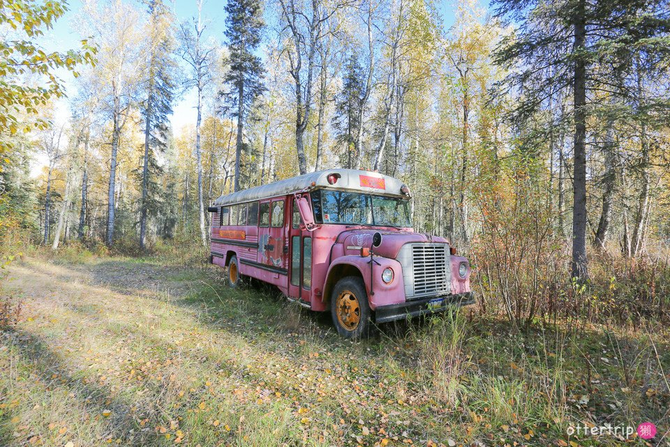 阿拉斯加Talkeetna住宿，餐廳推薦 Talkeetna Love-Lee Cabins床很好睡的小木屋