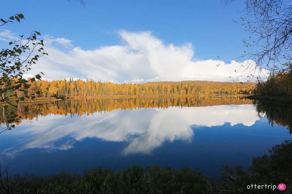 阿拉斯加Talkeetna住宿，餐廳推薦 Talkeetna Love-Lee Cabins床很好睡的小木屋