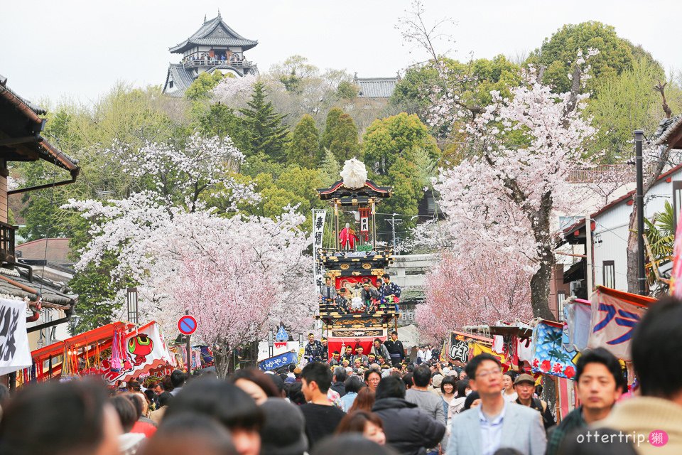 日本犬山 | 名古屋周邊賞櫻景點 櫻花紛飛時的犬山祭