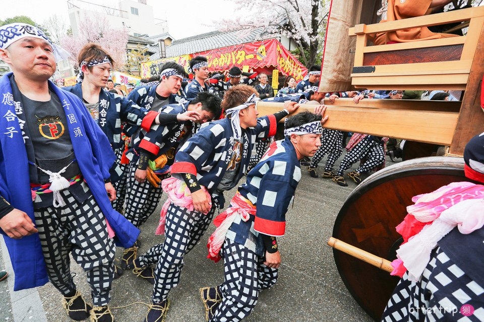 日本犬山 | 名古屋周邊賞櫻景點 櫻花紛飛時的犬山祭