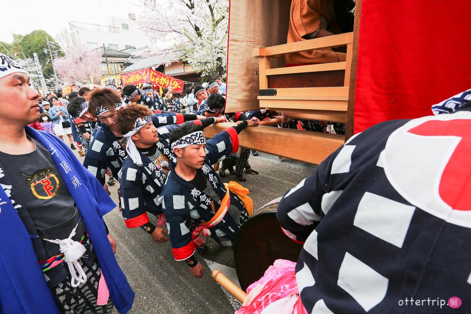 日本犬山 | 名古屋周邊賞櫻景點 櫻花紛飛時的犬山祭