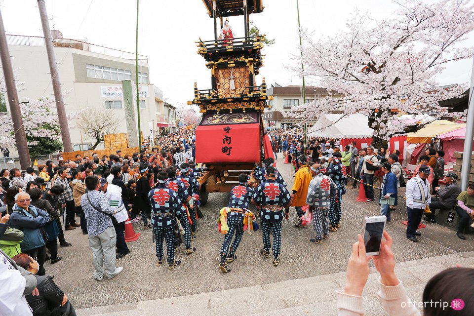 日本犬山 | 名古屋周邊賞櫻景點 櫻花紛飛時的犬山祭