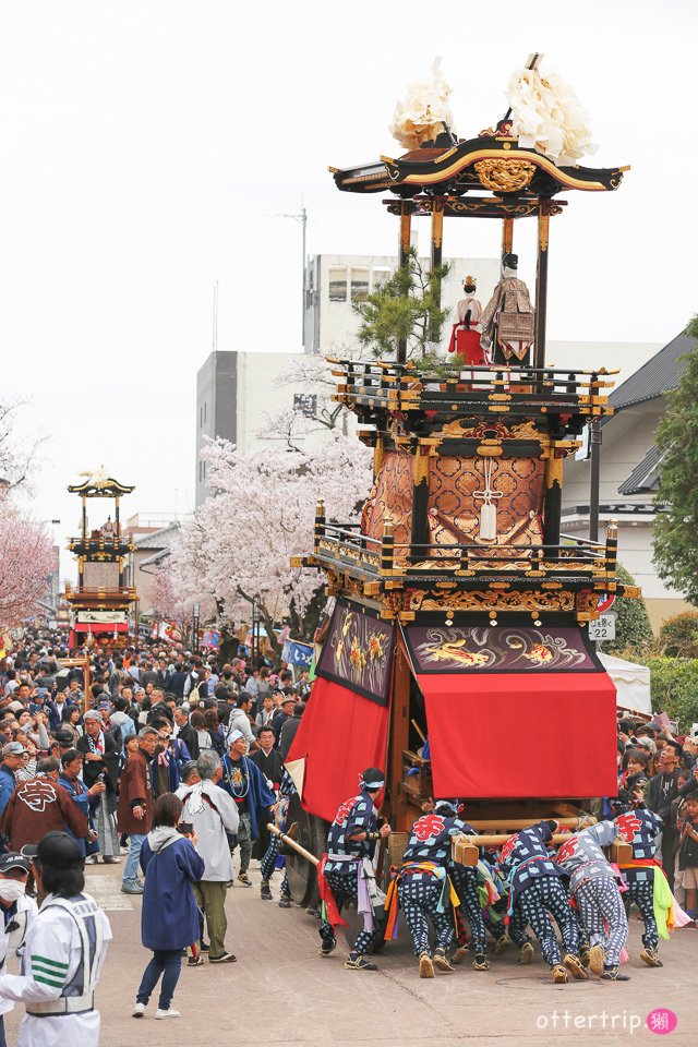 日本犬山 | 名古屋周邊賞櫻景點 櫻花紛飛時的犬山祭