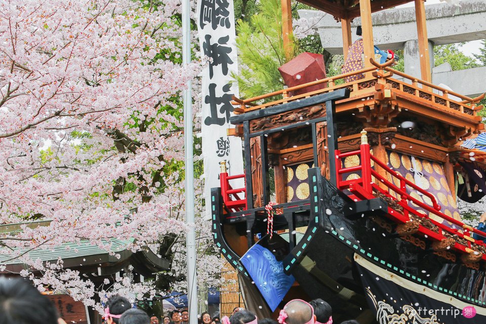 日本犬山 | 名古屋周邊賞櫻景點 櫻花紛飛時的犬山祭