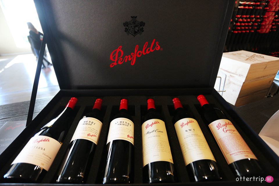 澳洲阿德萊德景點 Penfolds Magill Estate的奔富葛蘭許之旅