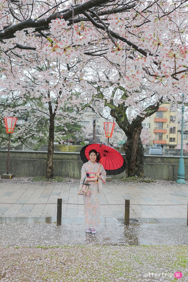 日本北陸櫻花季 金澤租和服 心結kokoyui選件加賀友禪走茶屋