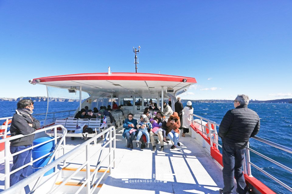 澳洲雪梨景點 captain cook cruises sydney出海賞鯨 Whale Watching Sydney 雪梨親子景點